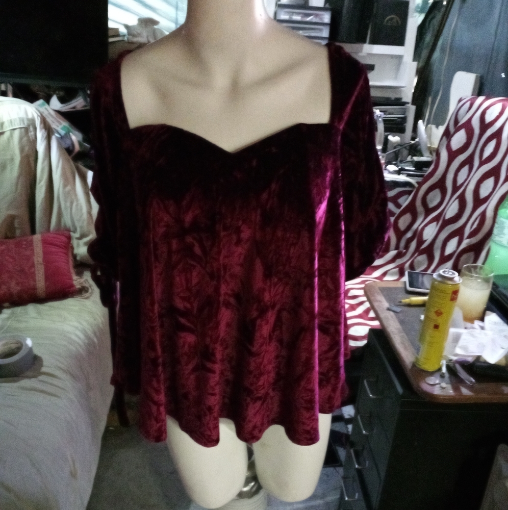 Ladies velvetine blouse.  Princess neckline